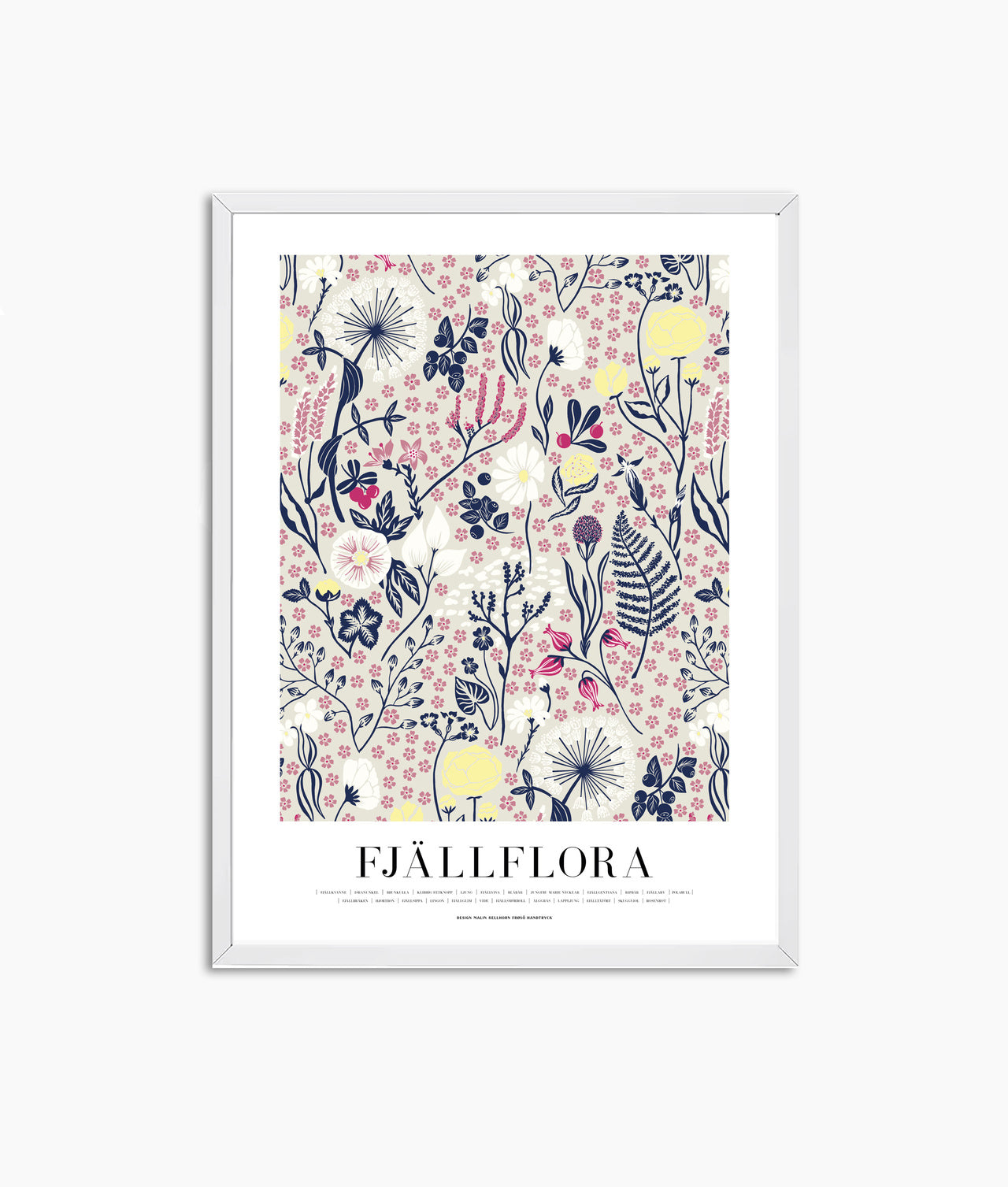 Poster Fjällflora med 24 fjällblommor i flerfärgat tryck, 30x40 cm