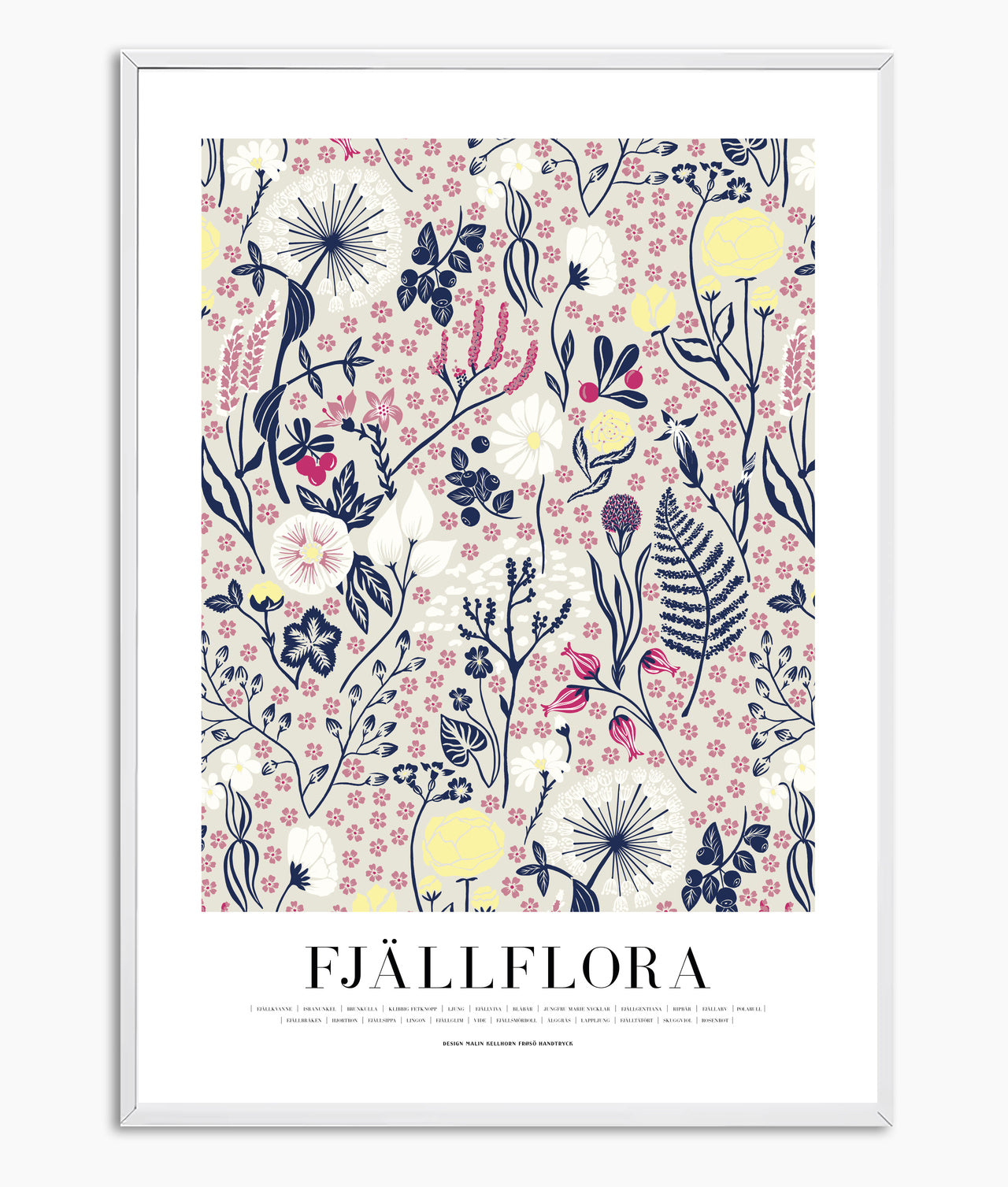 Poster Fjällflora med 24 fjällblommor i flerfärgat tryck, 50x70 cm